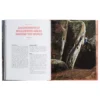 Bouldering -
