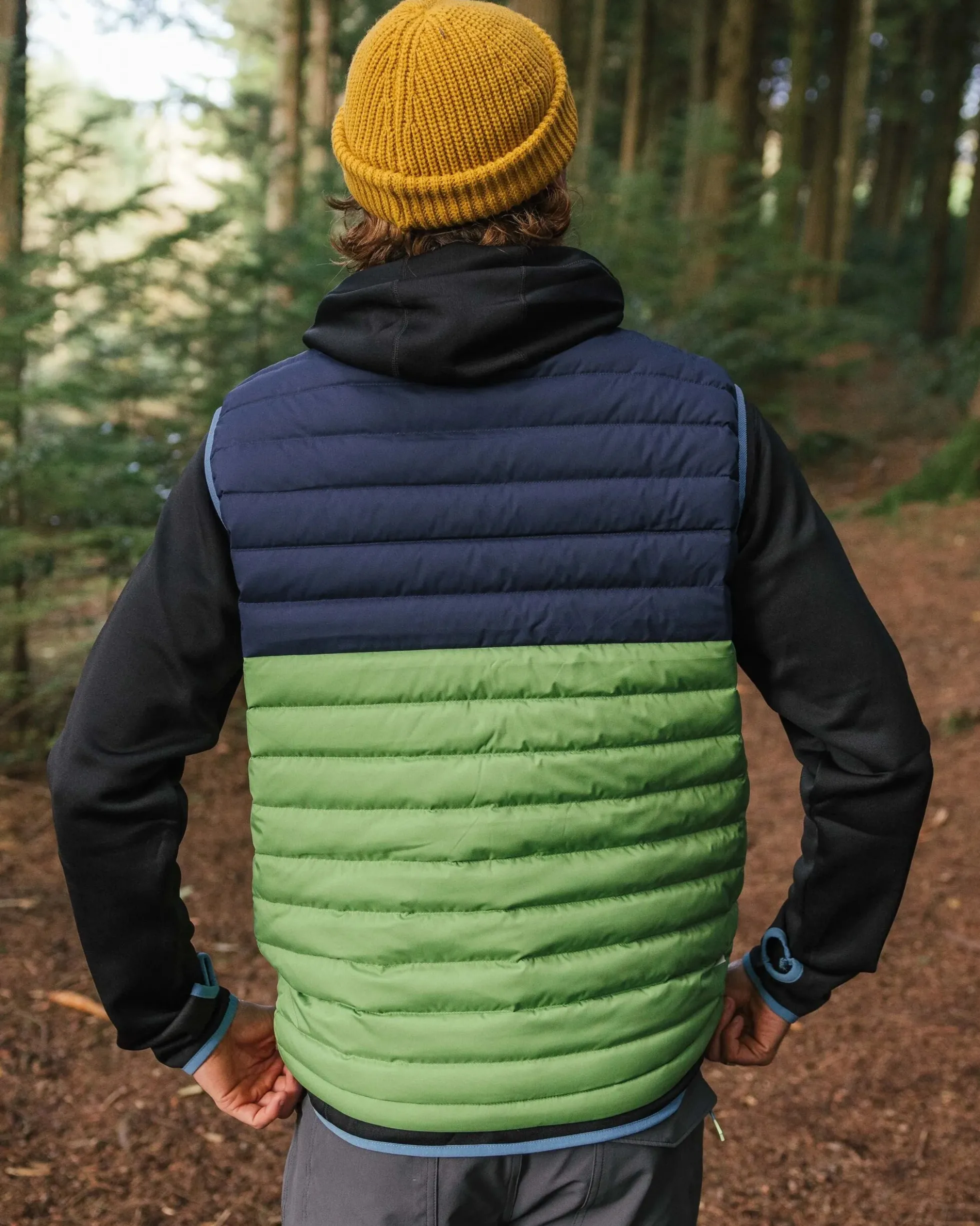 Men's Ashland Down Gilet