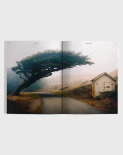 Waves & Woods Issue 39