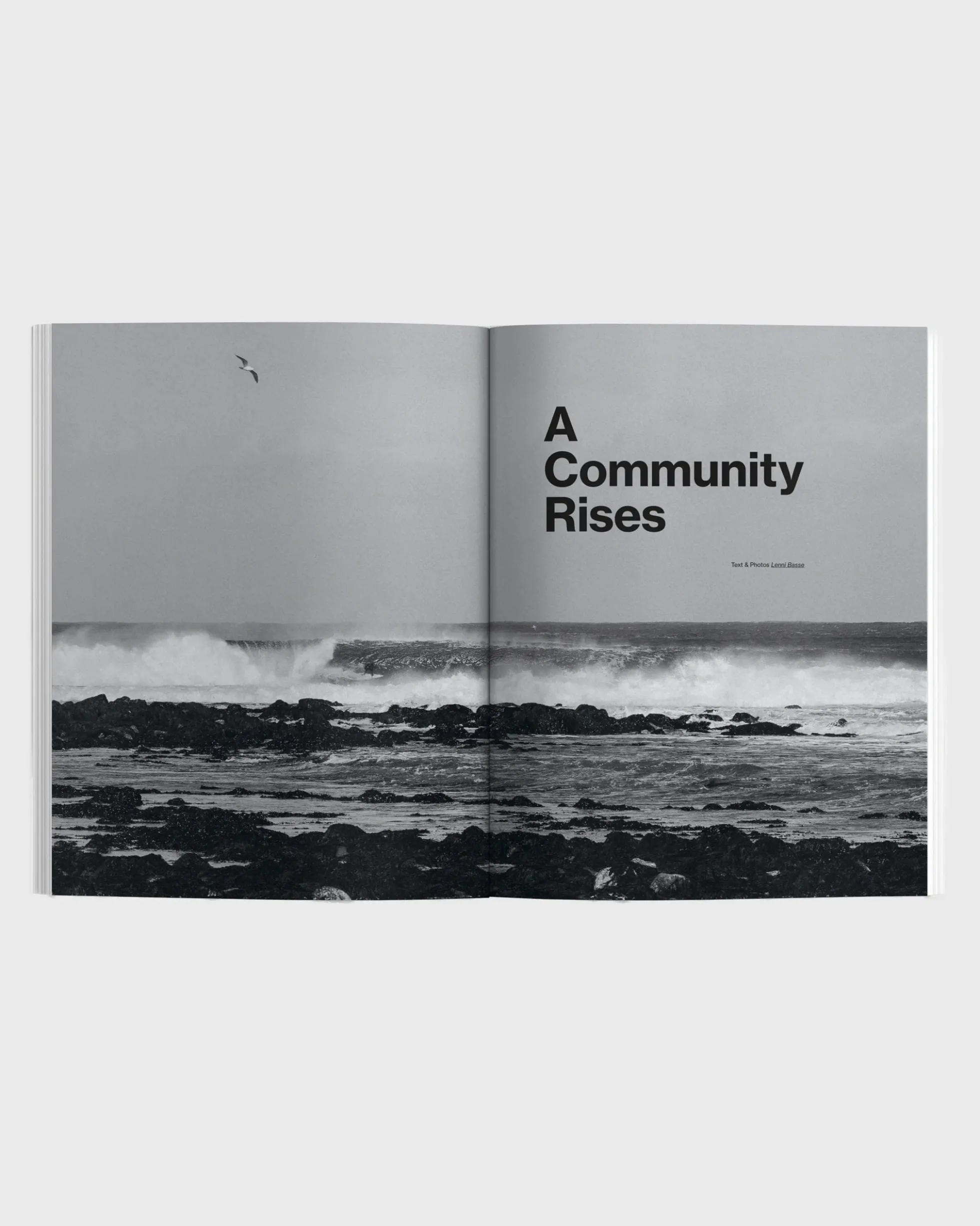 Waves & Woods Issue 43