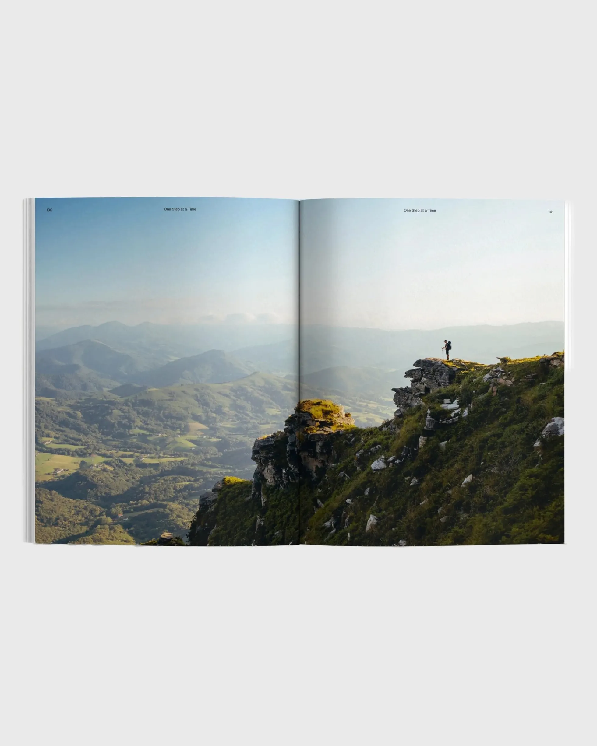 Waves & Woods Issue 43