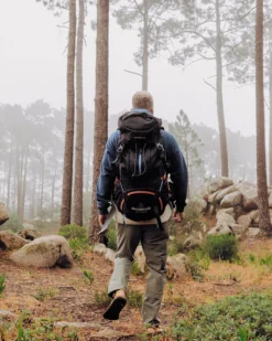 Wayfarer 65L Backpack