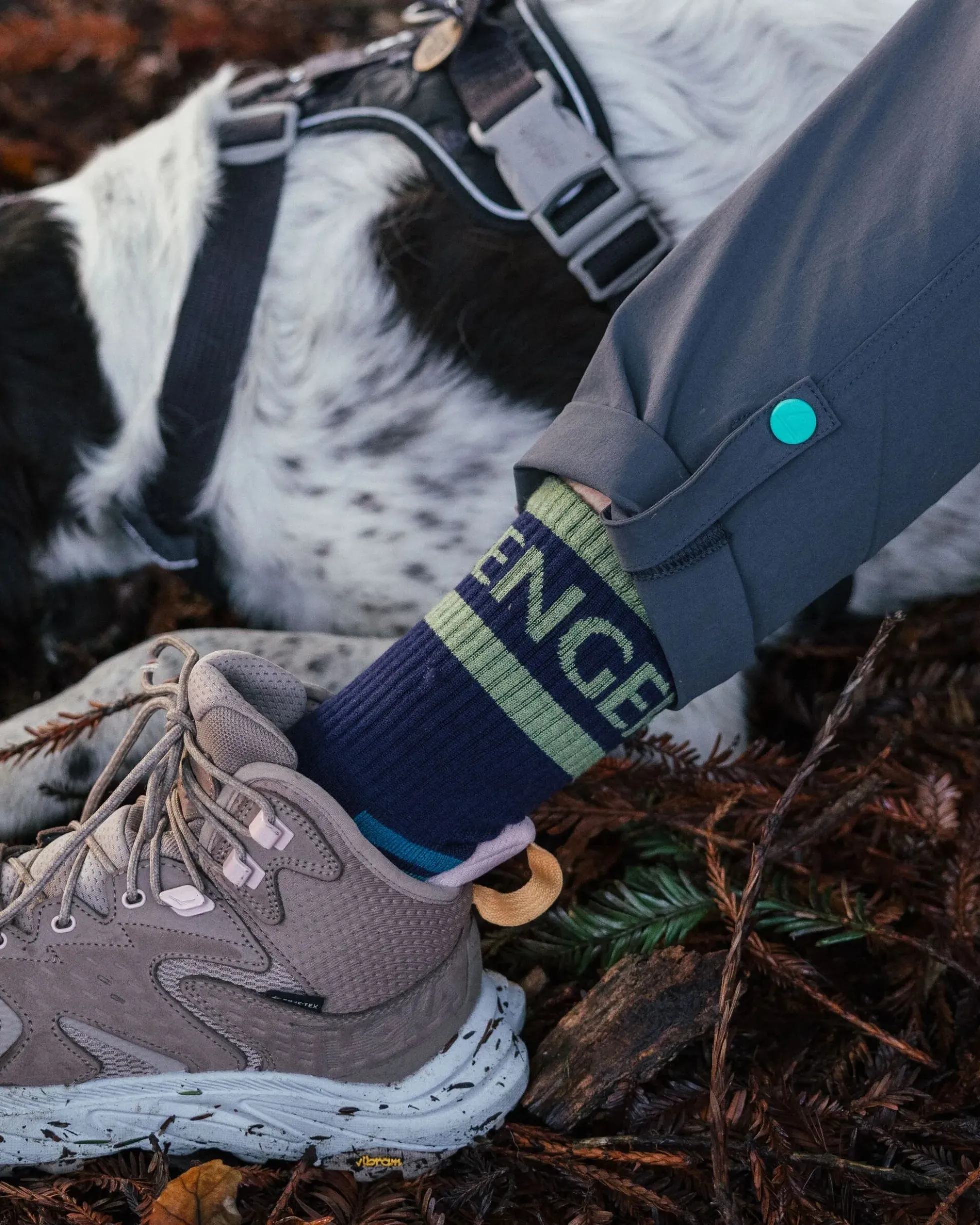 Women's Sierra Active Socks